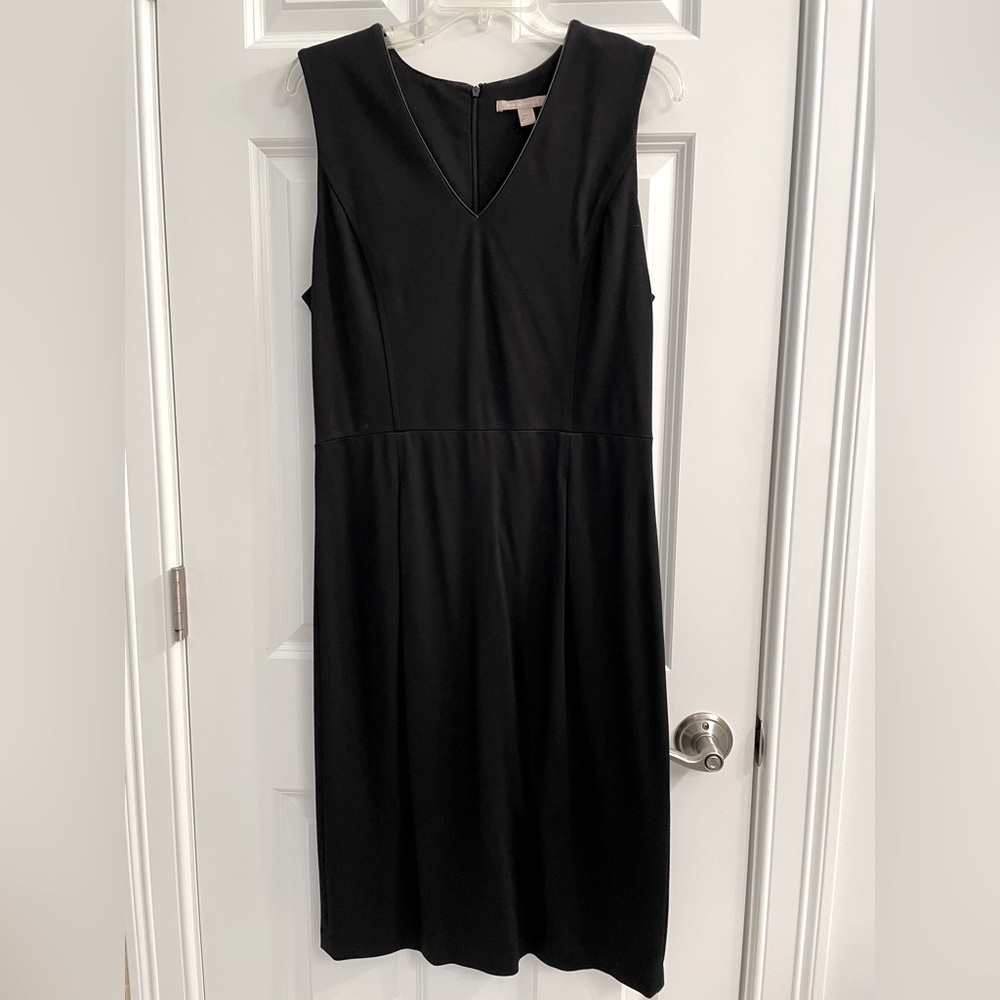Banana Republic LBT, Size 10 Tall